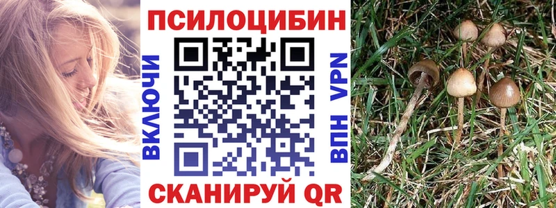 МЕГА ссылка  Шилка  Псилоцибиновые грибы Magic Shrooms 