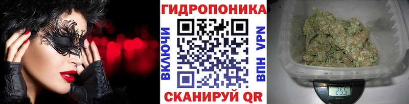 darknet как зайти Шилка Каннабис OG Kush